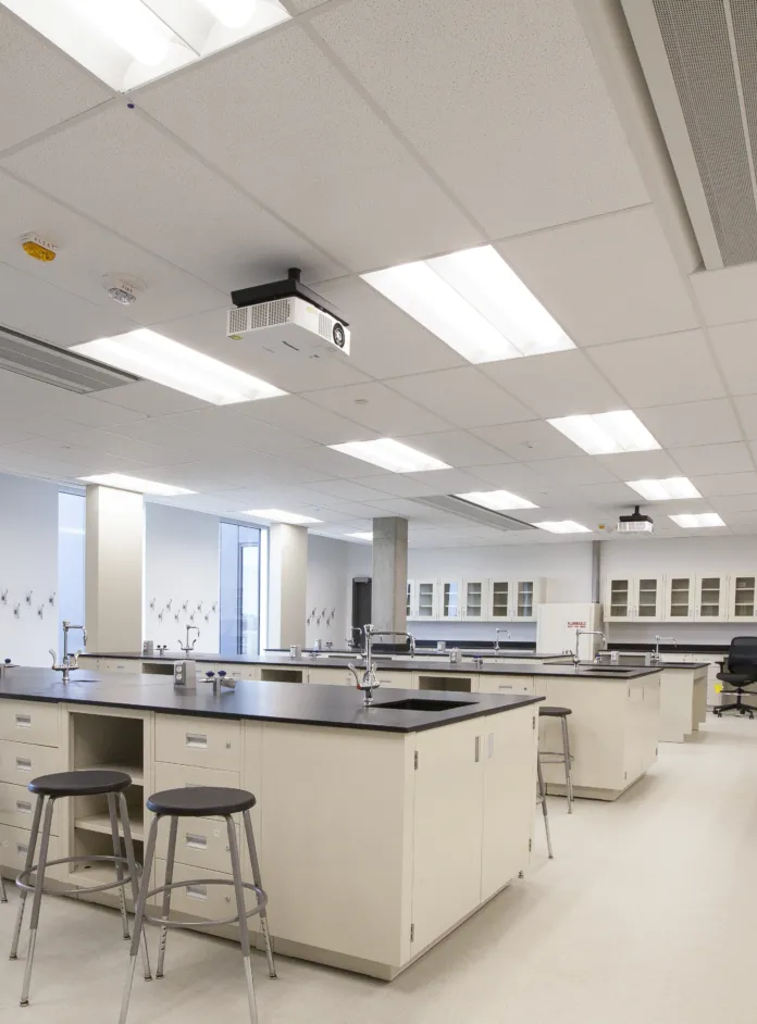 Cover image option 2 EDIT