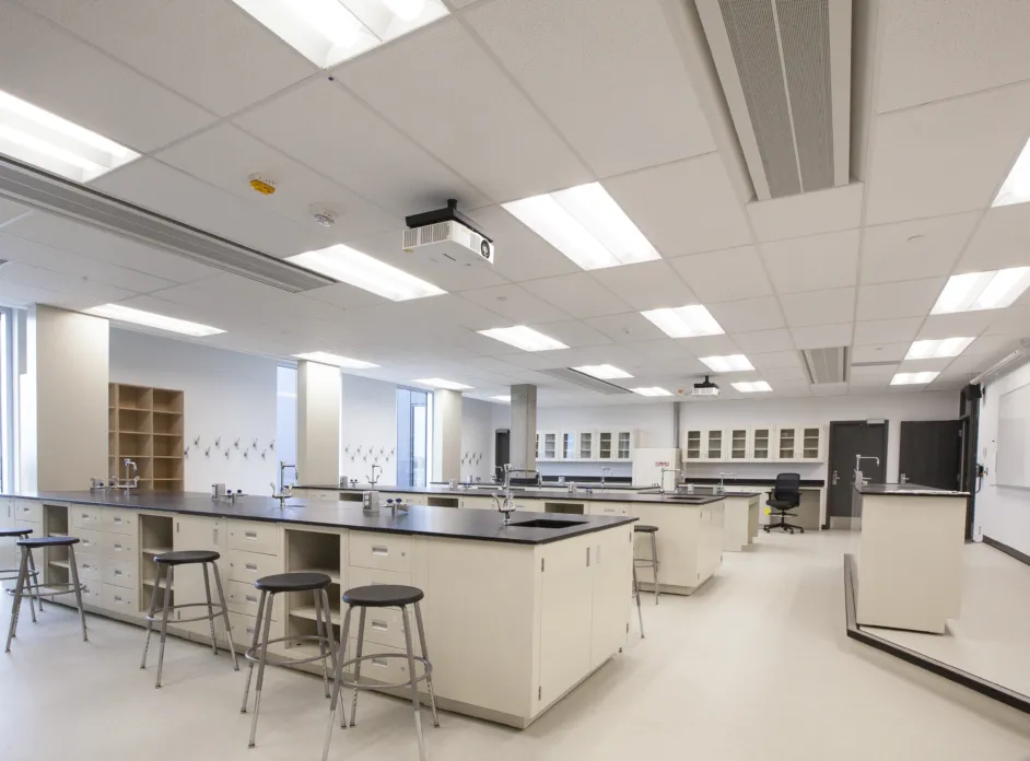 Cover image option 2 EDIT