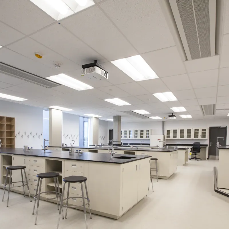 Allard Hall, Level 5 Development