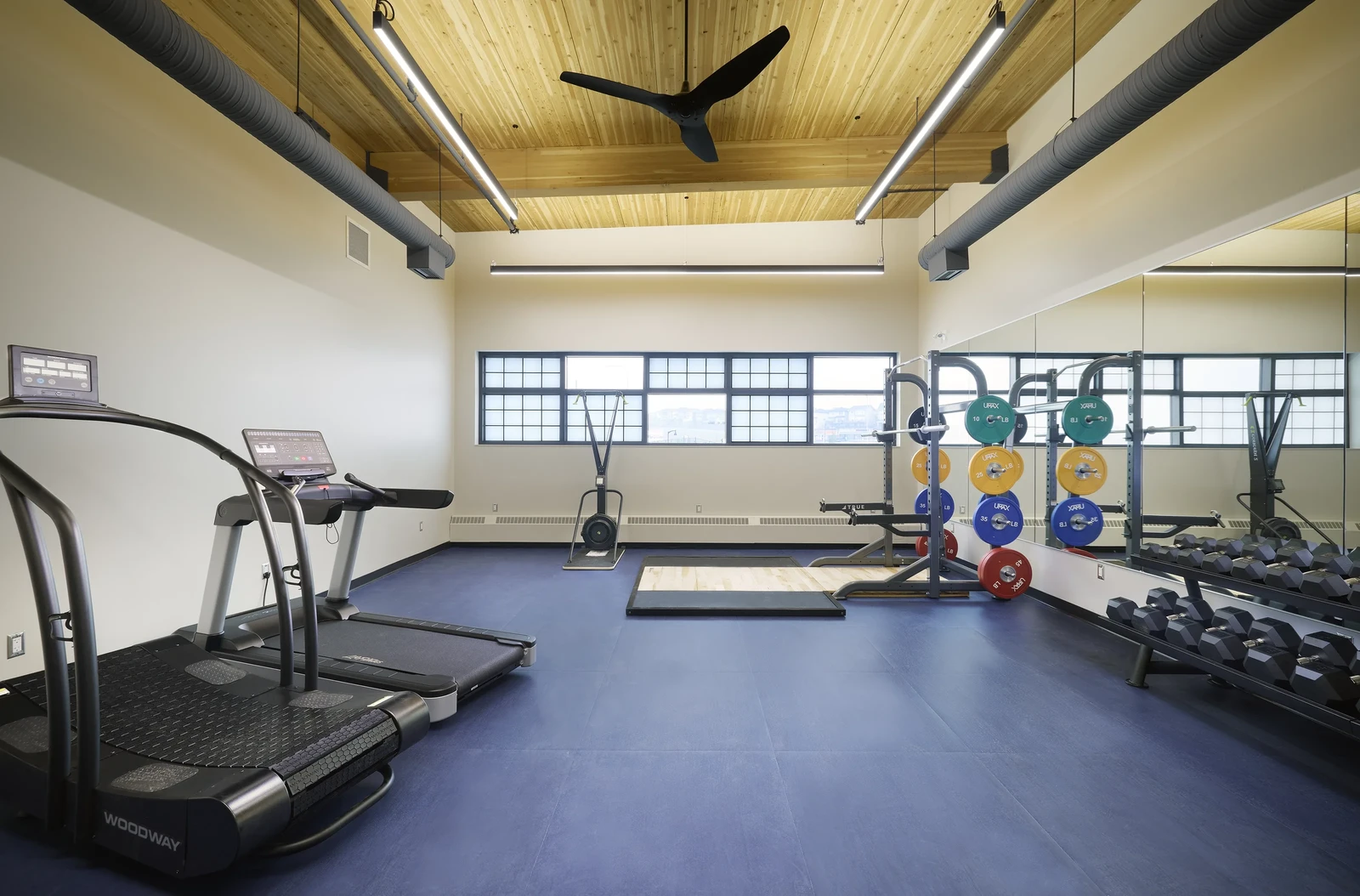 Gym copy