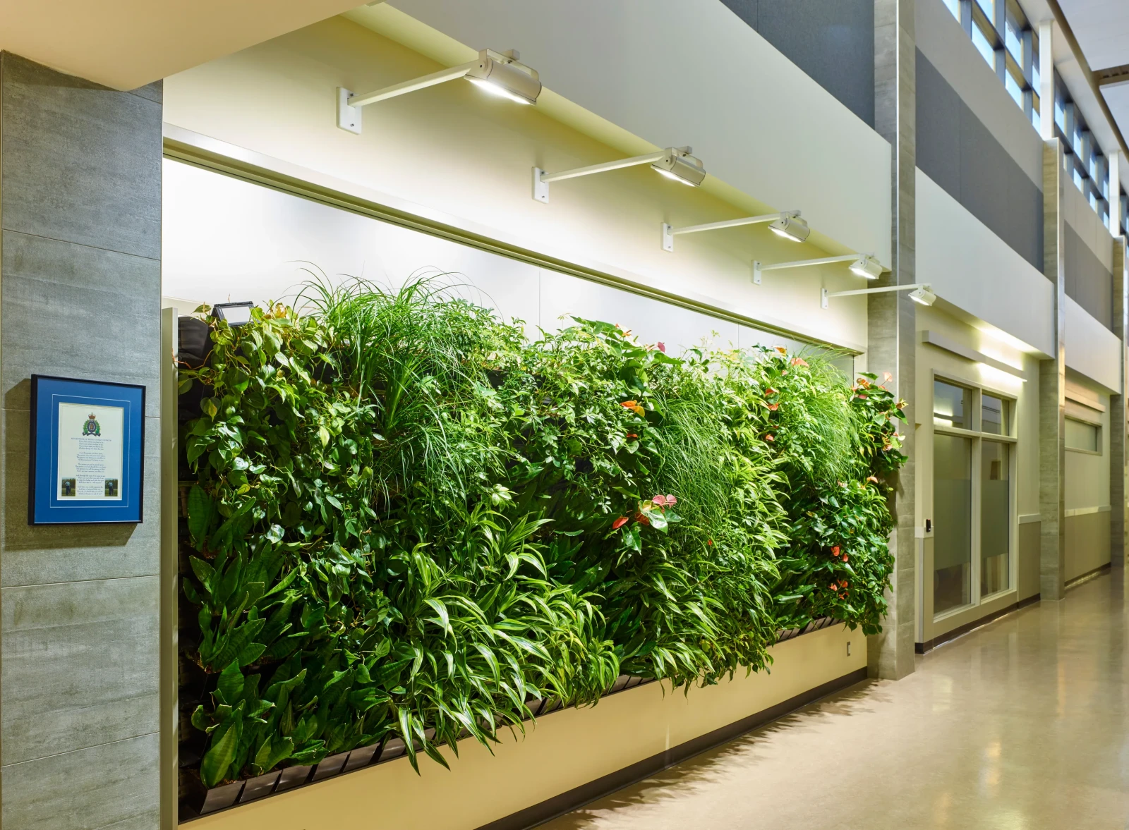 Strathcona rcmp interior living wall EDIT
